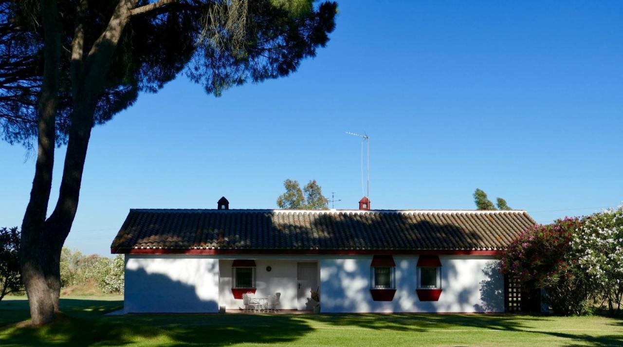 La Casita De Hato Pinos, Un Rincon En Donana Aznalcázar Exterior foto