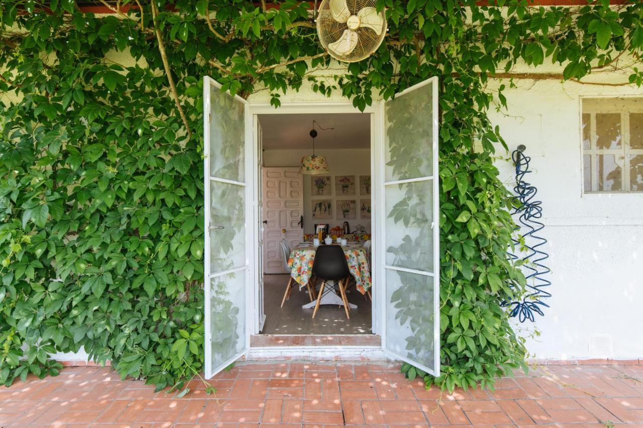La Casita De Hato Pinos, Un Rincon En Donana Aznalcázar Exterior foto